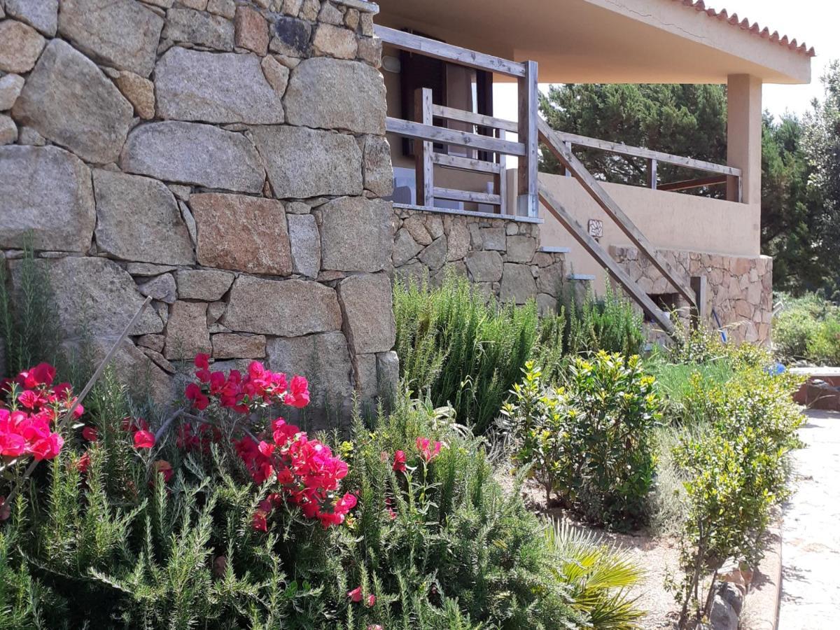 Villa Aloe 2 Costa Paradiso Dış mekan fotoğraf